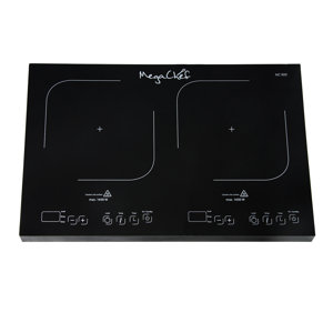 Portable Dual Induction 21