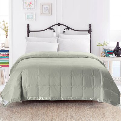 Alwyn Home Light Weight Summer Down Duvet Insert Size King