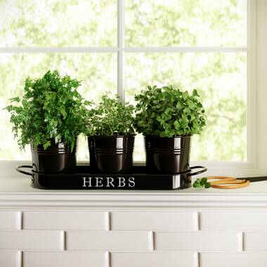 Succulent Herb Planter Farmhouse Pot Galvanized Pot Planter Set with Tray White
