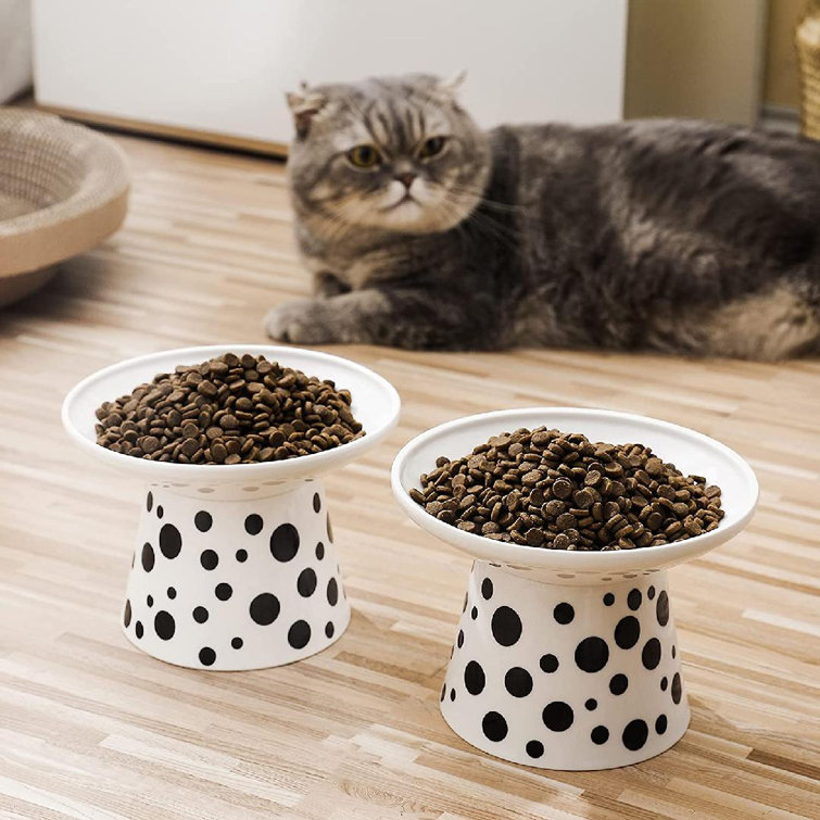 diy elevated cat feeder