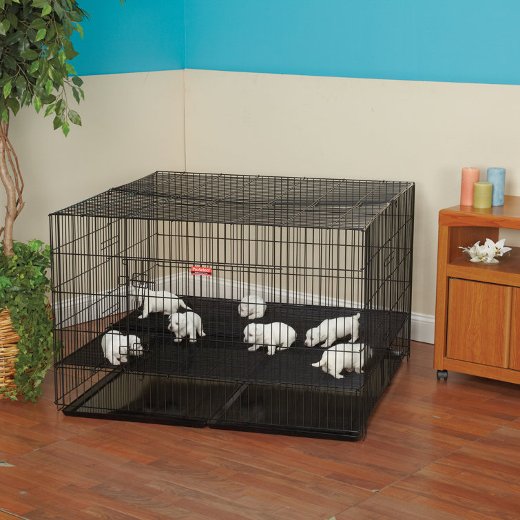 elevated puppy pen