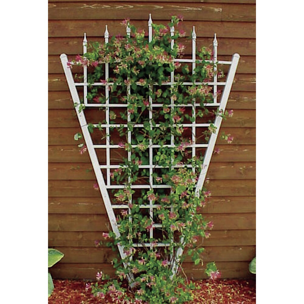 Trellises You Ll Love In 21 Wayfair