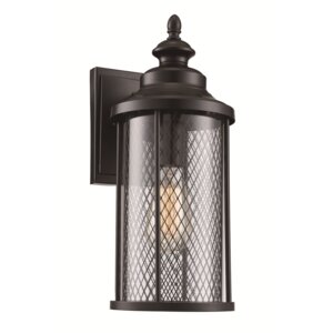 Daniela 1-Light Outdoor Wall Lantern