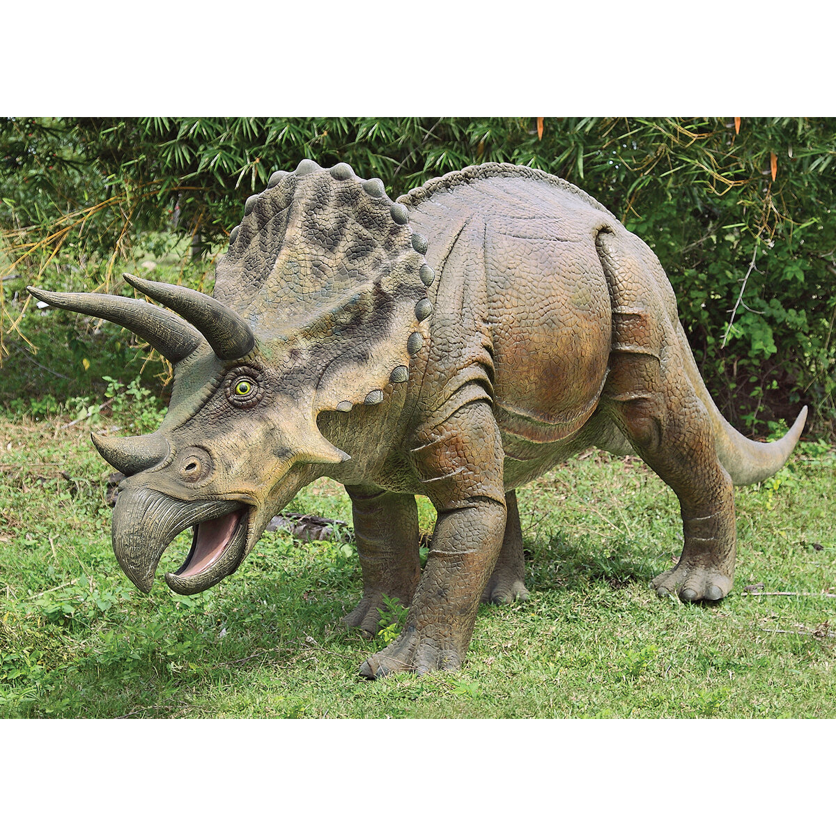 Dinosaur-Triceratops 