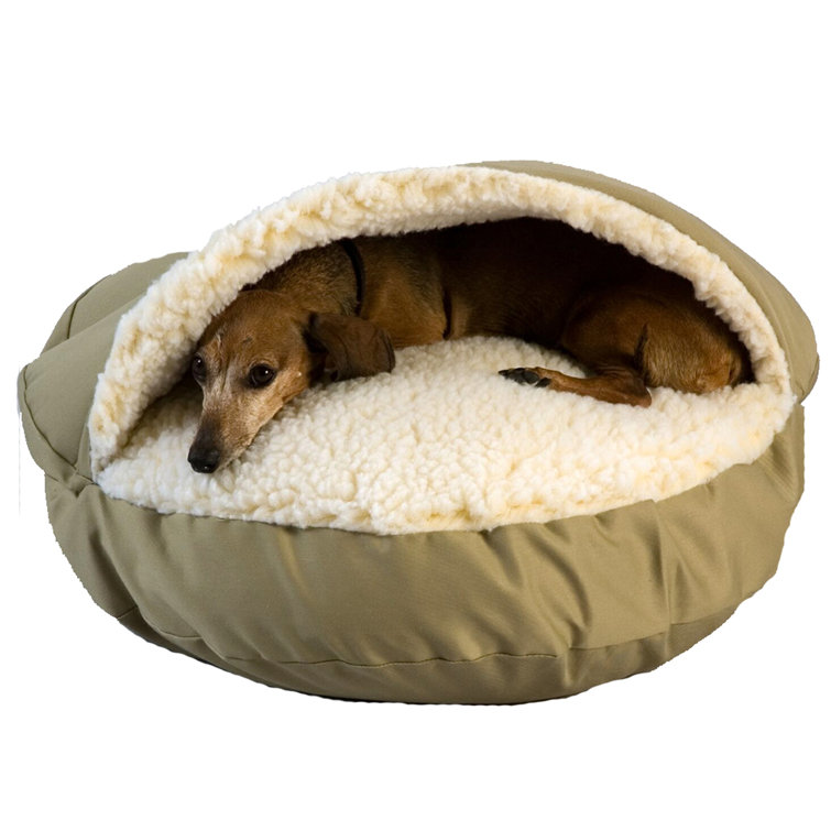 dog pocket bed