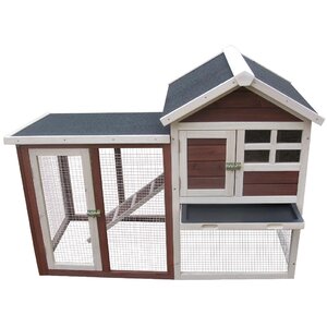 The Stilt House Rabbit Hutch