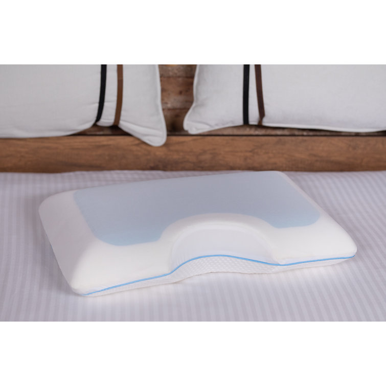 wayfair memory foam pillow
