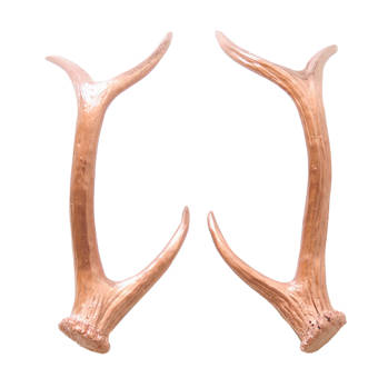 Union Rustic Deer Antler Faux Taxidermy Wall Decor Wayfair