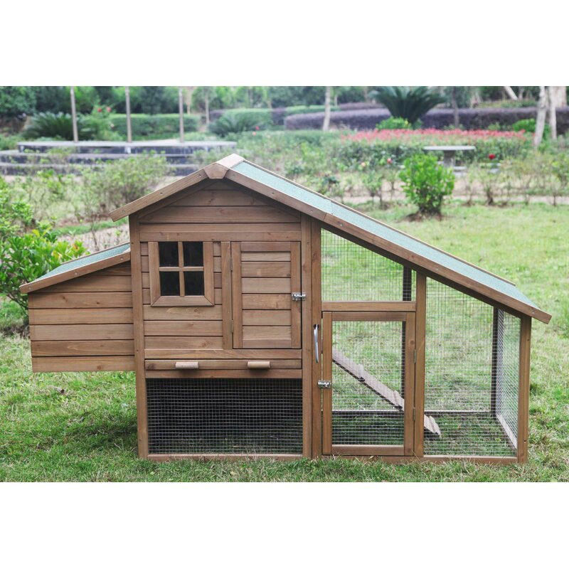 Tucker Murphy™ Pet Haught Multi-Level Wooden Chicken Coop & Reviews ...