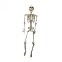 5.6ft Halloween Human Poseable Life Size Skeleton Party Decoration Horror Props 