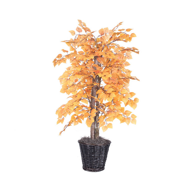Aspen Tree Decor Wayfair Aspen Tree Decor Wayfair