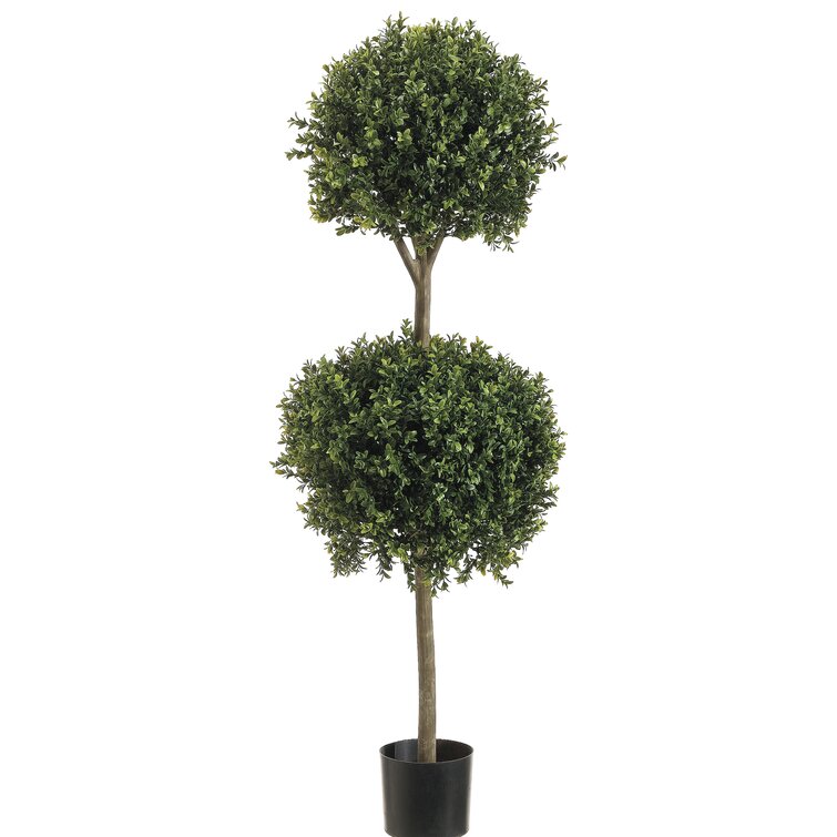 Darby Home Co Ball Boxwood Top Topiary in Pot & Reviews | Wayfair