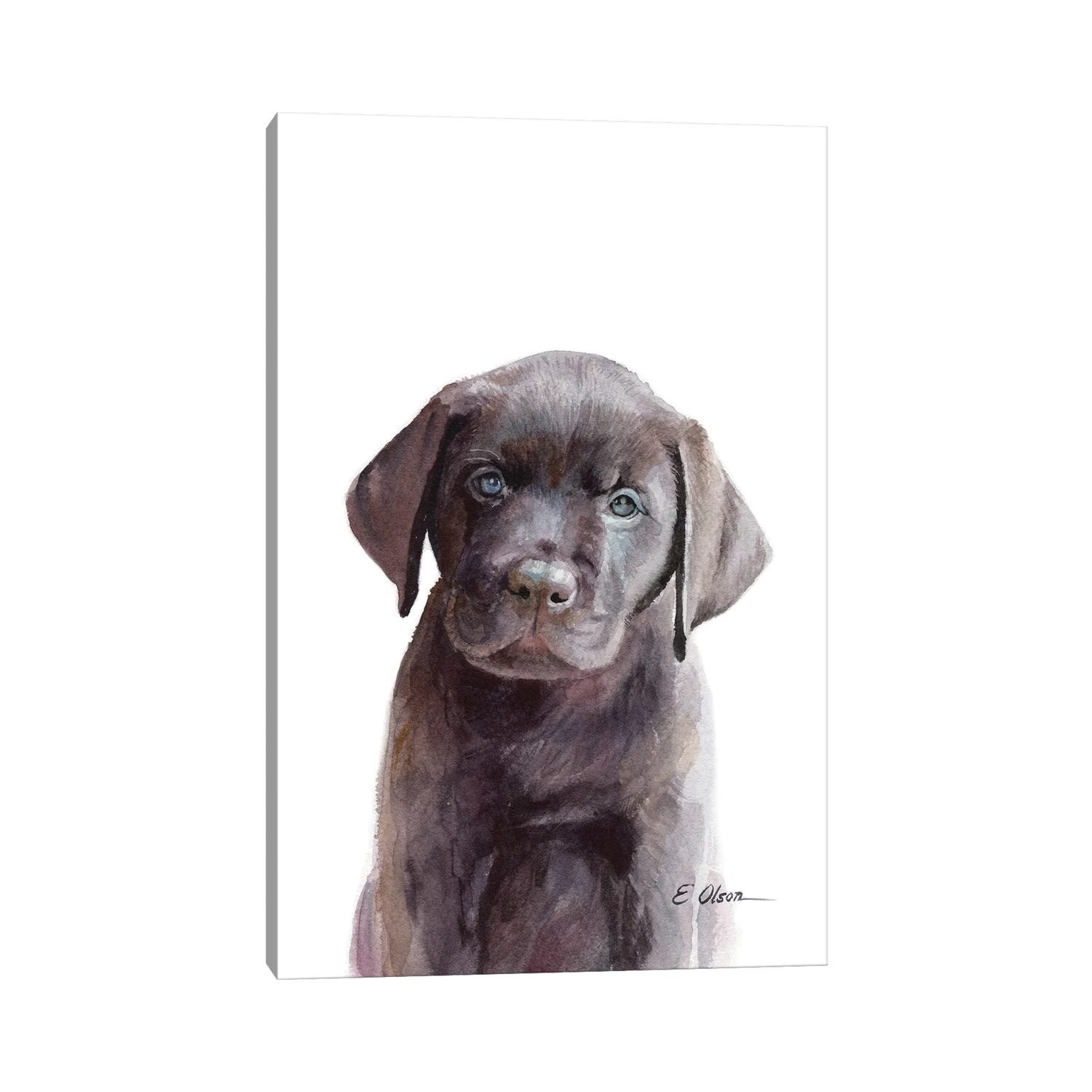 Download Chocolate Labrador Retriever Puppy Prints Lab Puppy Fine Art Print Baby Animal Prints Watercolor Puppy Dog Art Nursery Wall Decor Art Art Collectibles Prints Delage Com Br