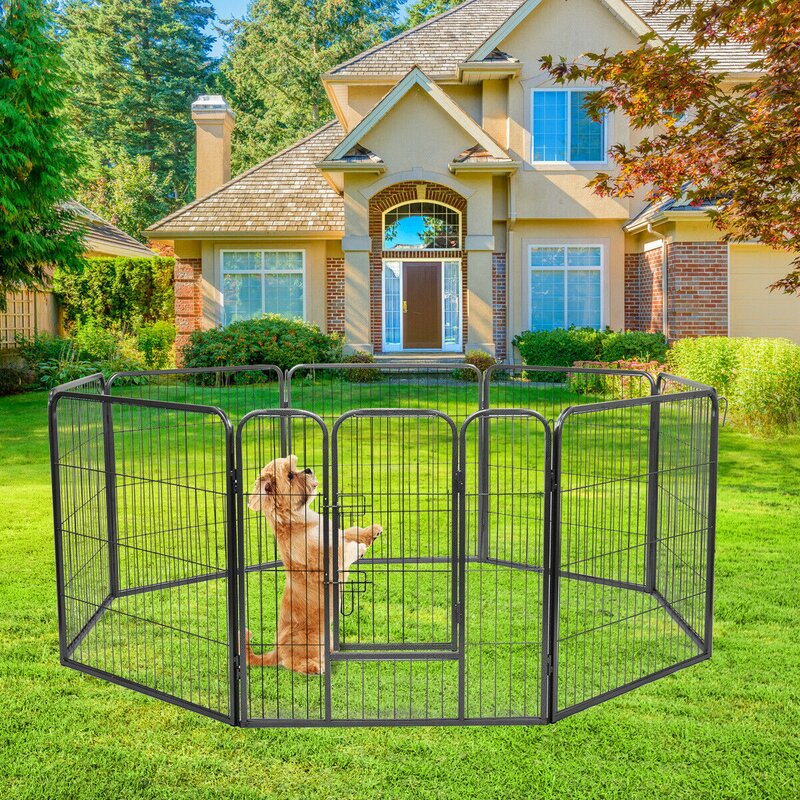 play yard gate for dogs