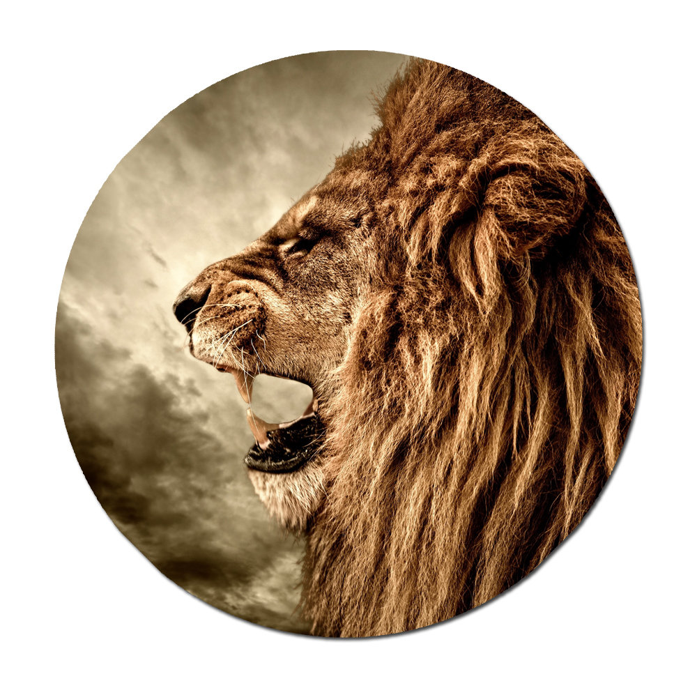 DecorumBY Epic Lion Profile - Picture Frame Photograph | Wayfair