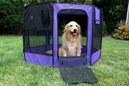 the range dog pen