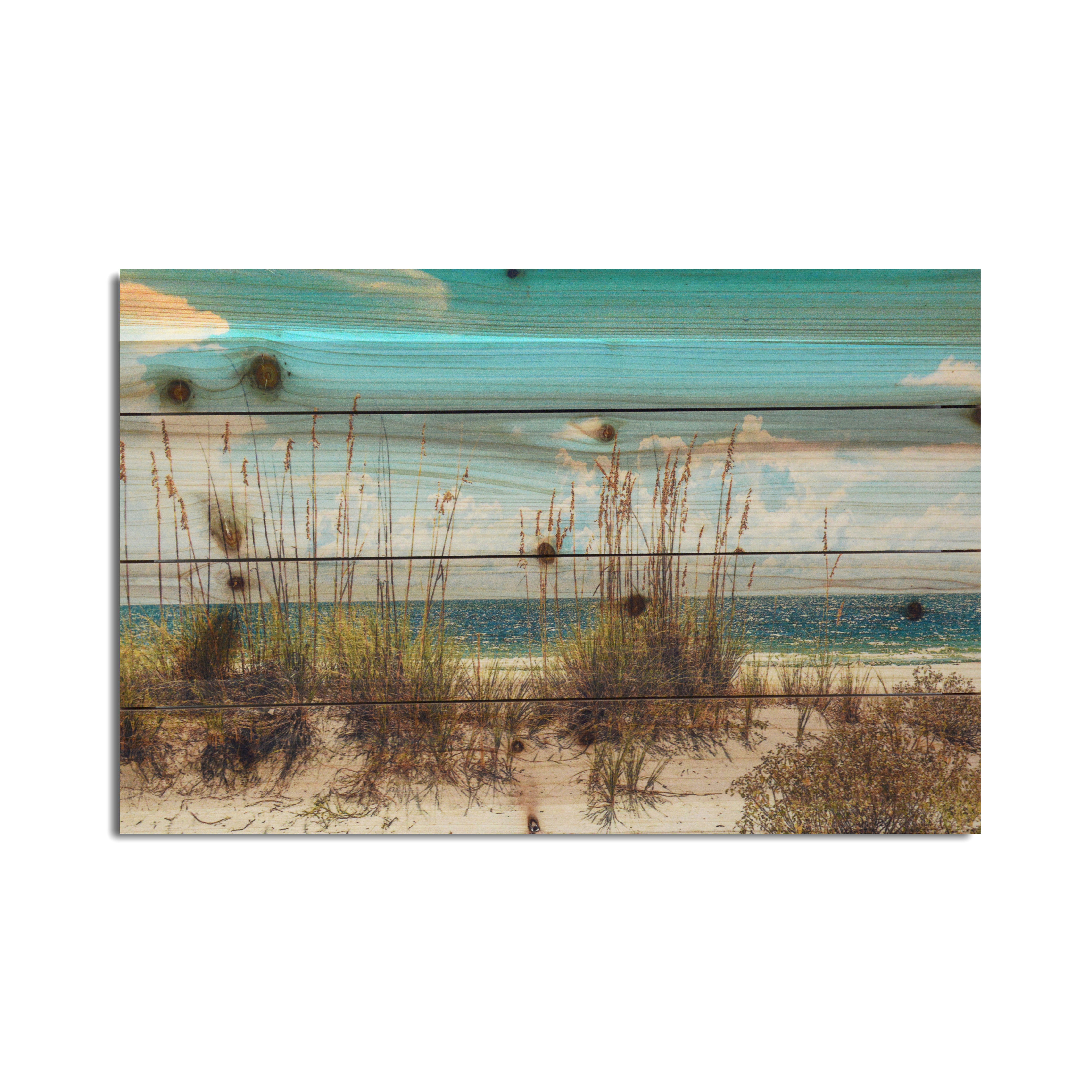 Coastal Wooden Wall Art You Ll Love In 2020 Wayfair