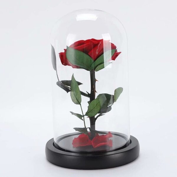 Eternal Rose Flower Festive Preserved Immortal Fresh Rose in Glass Home Decor US 