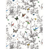 Bugs Butterflies Wallpaper You Ll Love In 2020 Wayfair