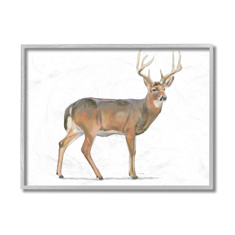 10 x 0.5 x 15 Proudly Made in USA The Kids Room by Stupell Woodland Deer with Cat Eye Glasses Wall Plaque Art 10 x 0.5 x 15 Proudly Made in USA The Kids Room by Stupell Woodland Deer with Cat Eye Glasses Wall Plaque Art