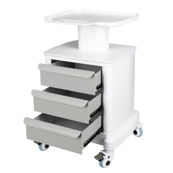 CNCEST 2 Layers Lab Trolley Laboratory Equipment Service Cart Stainless Steel Rolling Mobile Trolley Kitchen Island Trolley Storage Cart 