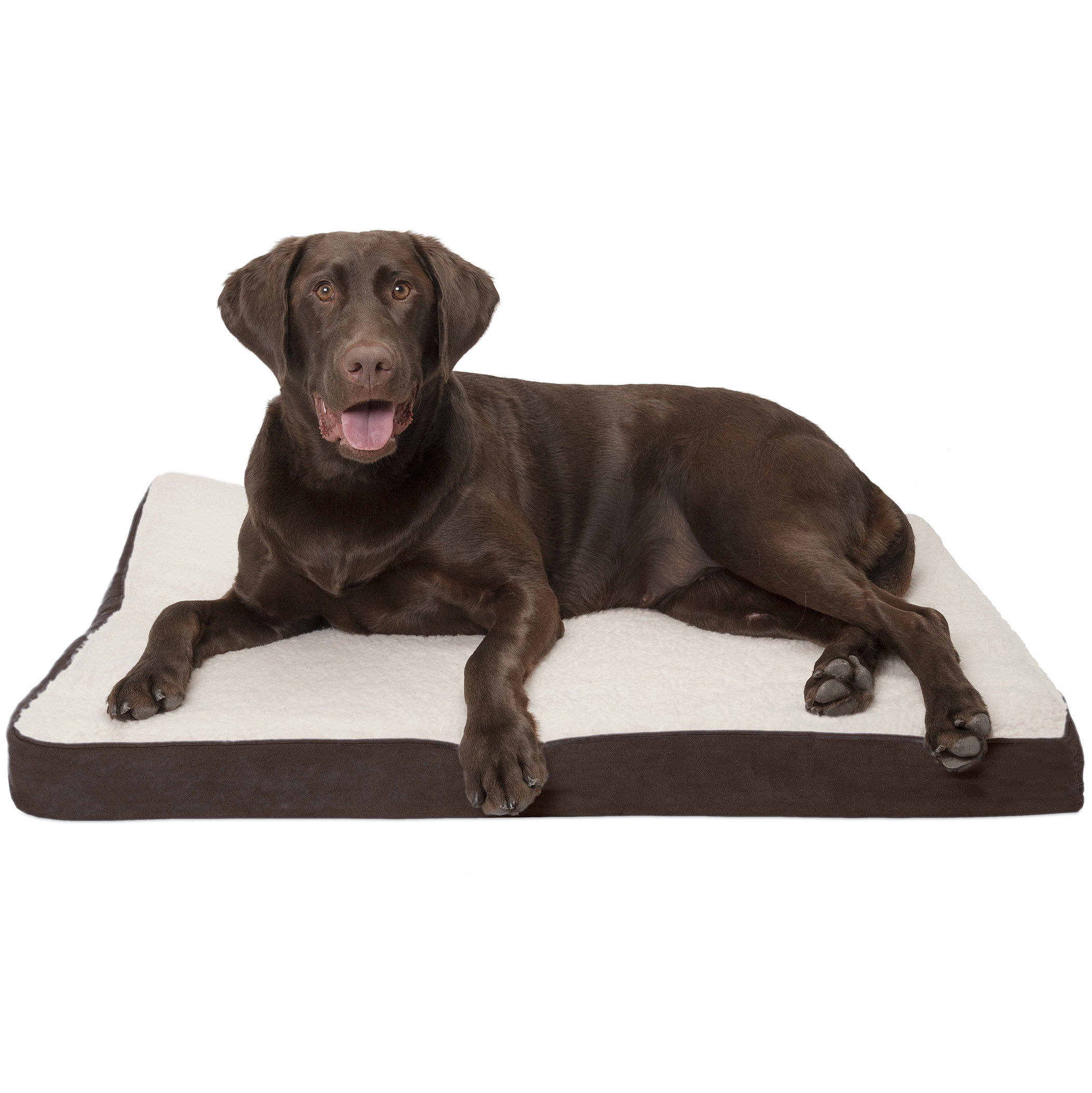 labrador bed size