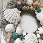 Rosalind Wheeler Preserved Mixed Assortment Shell 20'' Wreath & Reviews ...