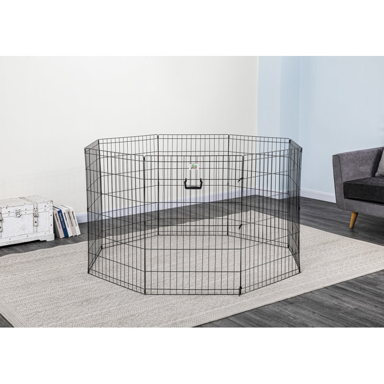 kitten playpen petco