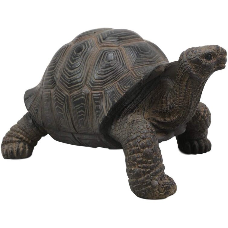 Bay Isle Home Keytesville Galapagos Tortoise Figurine & Reviews | Wayfair