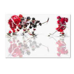 Ice Hockey Wayfair