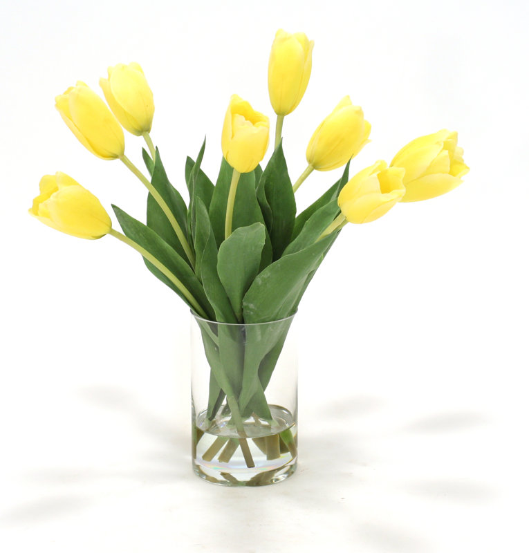 Distinctive Designs Waterlook Dutch Tulips in Glass Cylinder Vase