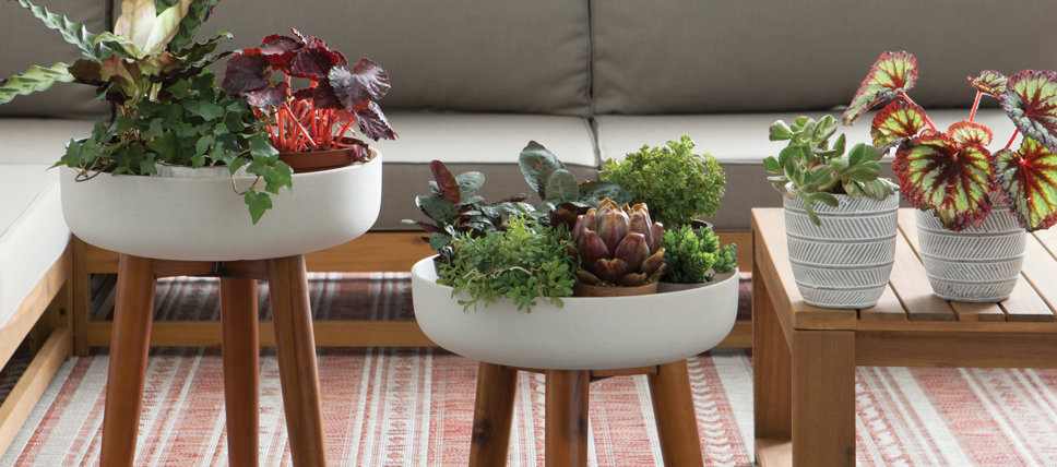 Modern Home Décor | AllModern Modern Home Décor | AllModern