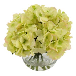 Hydrangea Bouquet in Water