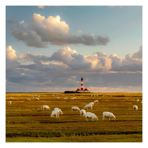 North Sea Lighthouse with Herd of Sheep 2.4m x 2.4m Embossed Matte Peel & Stick Wall Mural East Urban Home