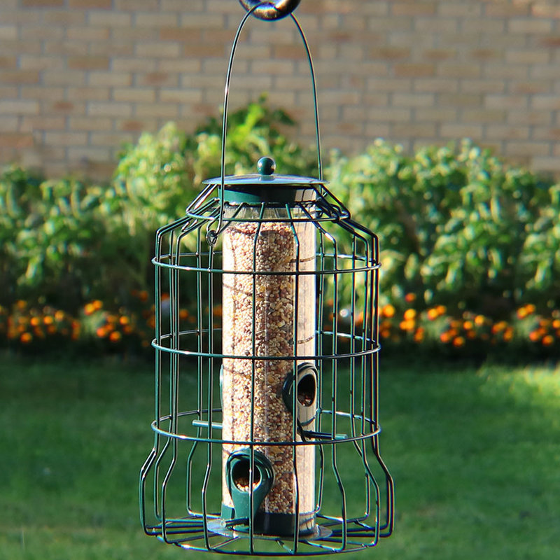 Tucker Murphy Pet Hudgens 4 Peg Squirrel Proof Wild Tube Bird