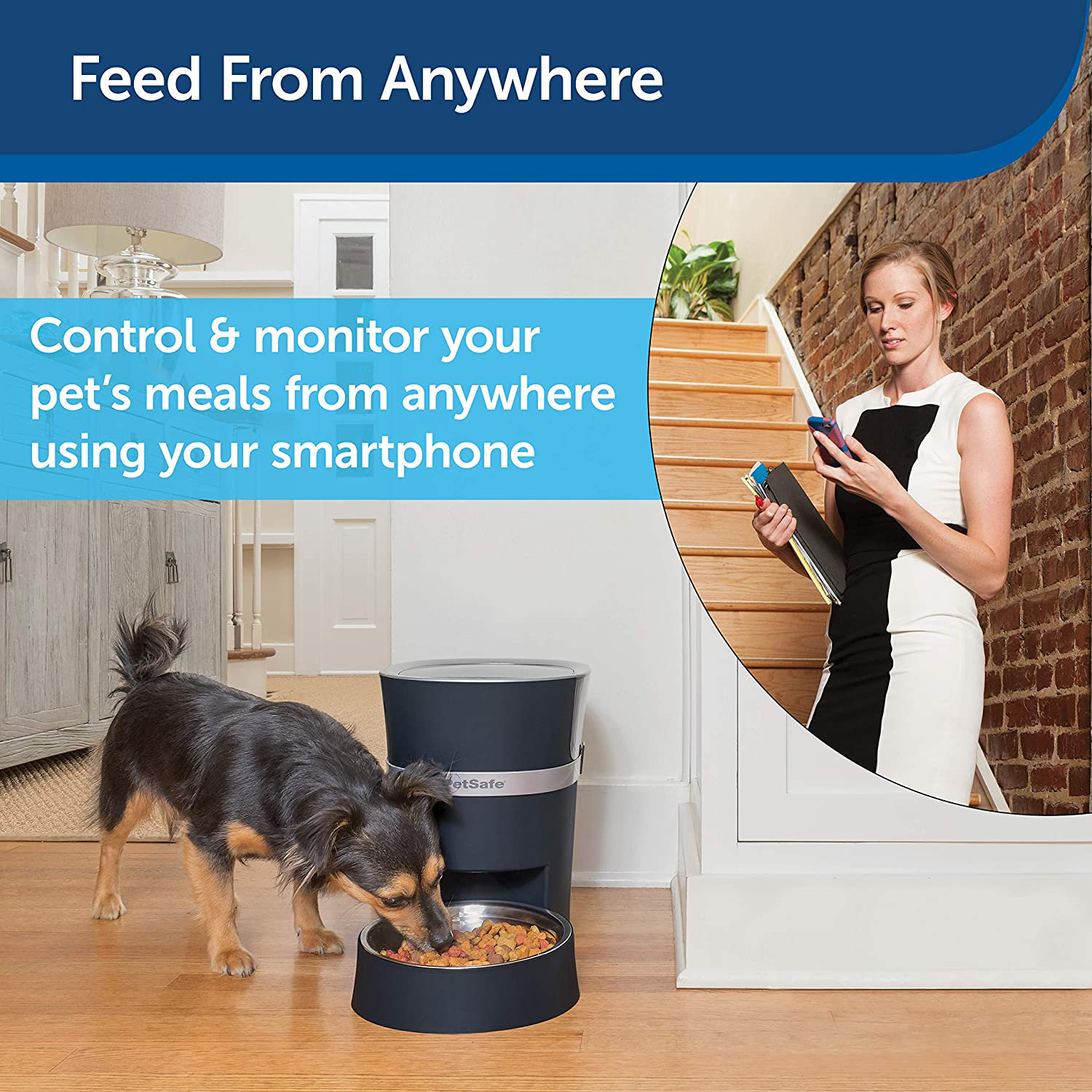 alexa enabled pet feeder