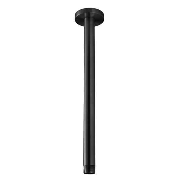 Speakman Ceiling Mounted Rain Shower Arm And Flange Kit Reviews Wayfair