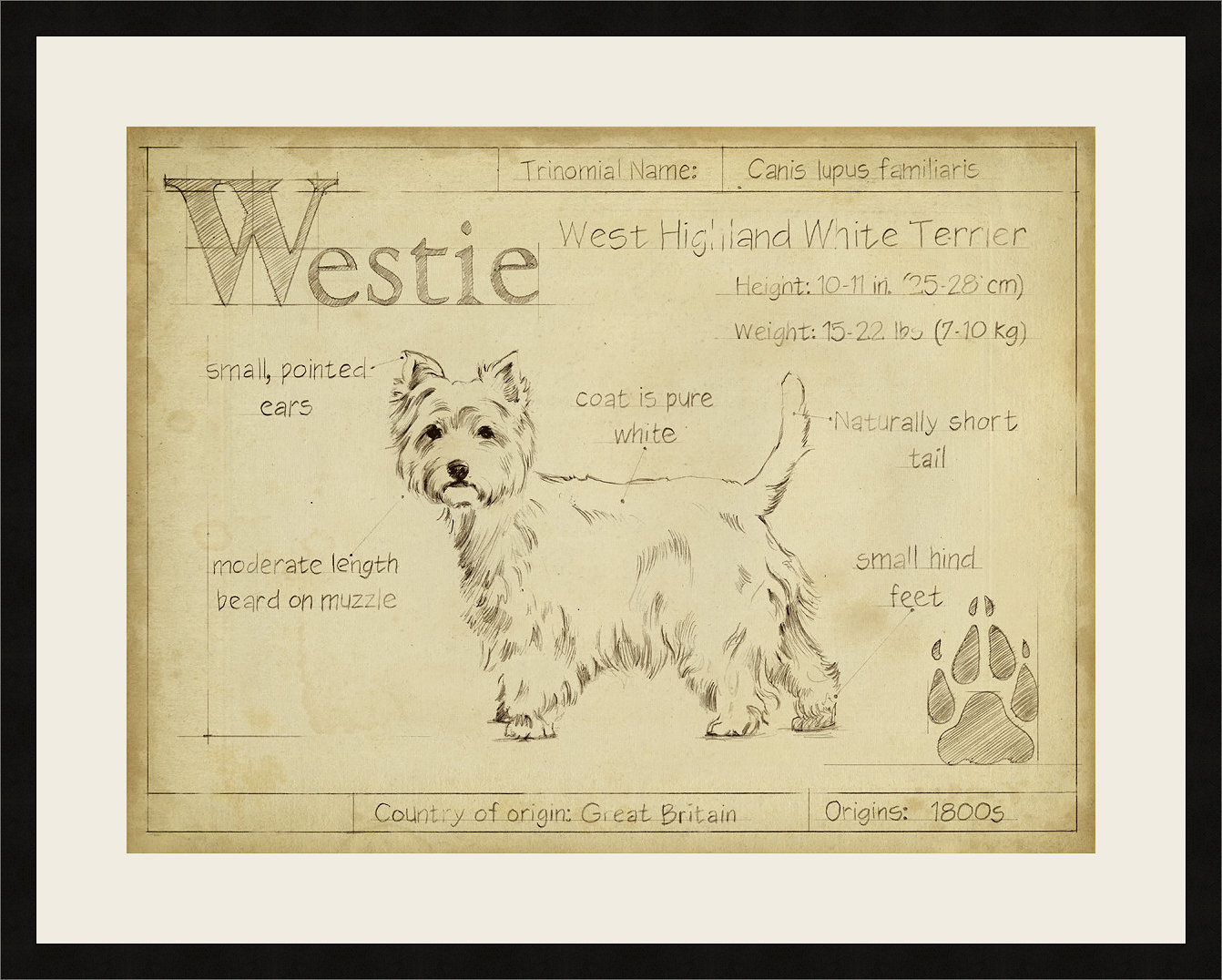 westie artwork
