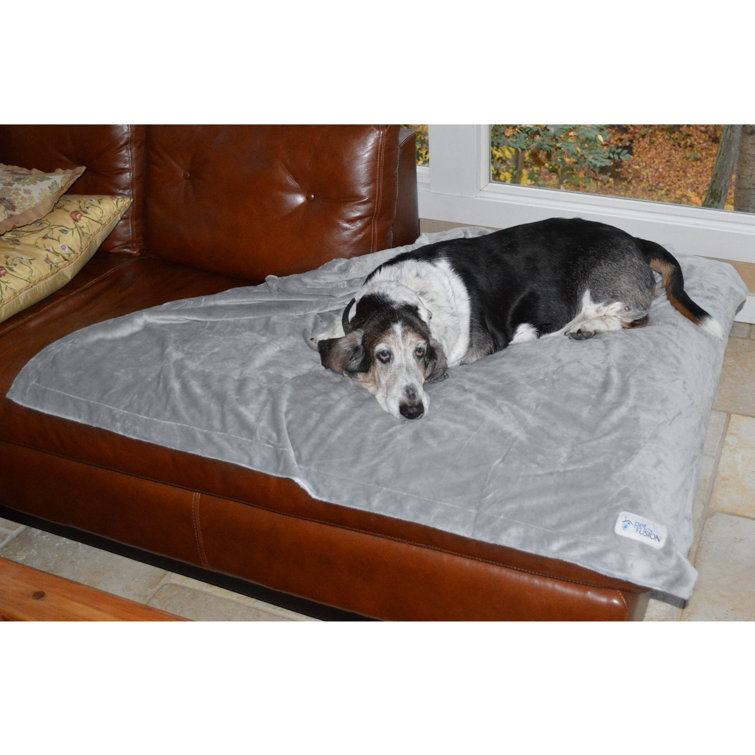 petfusion dog blanket