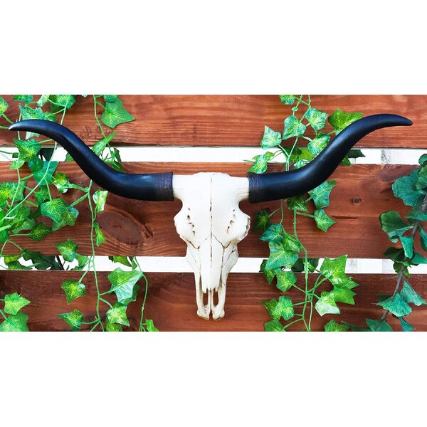 Realistic Steer Bull Cow Skull Wall Mount Rustic Western Style  XXL 