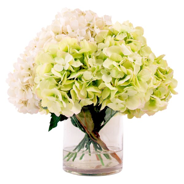 Creative Displays, Inc. Hydrangea in Acrylic Water Vase & Reviews ...