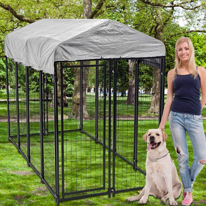 buy large dog kennel