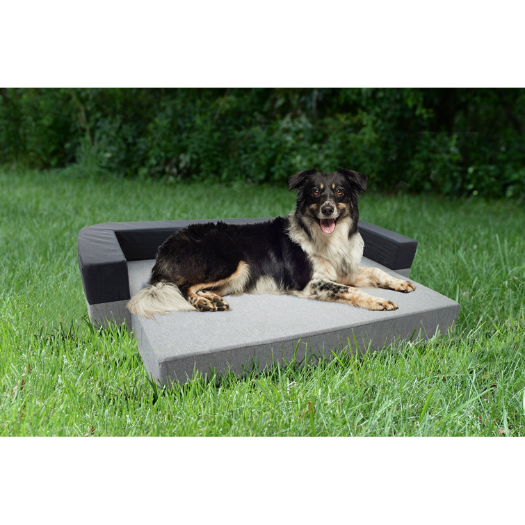 wayfair dog beds