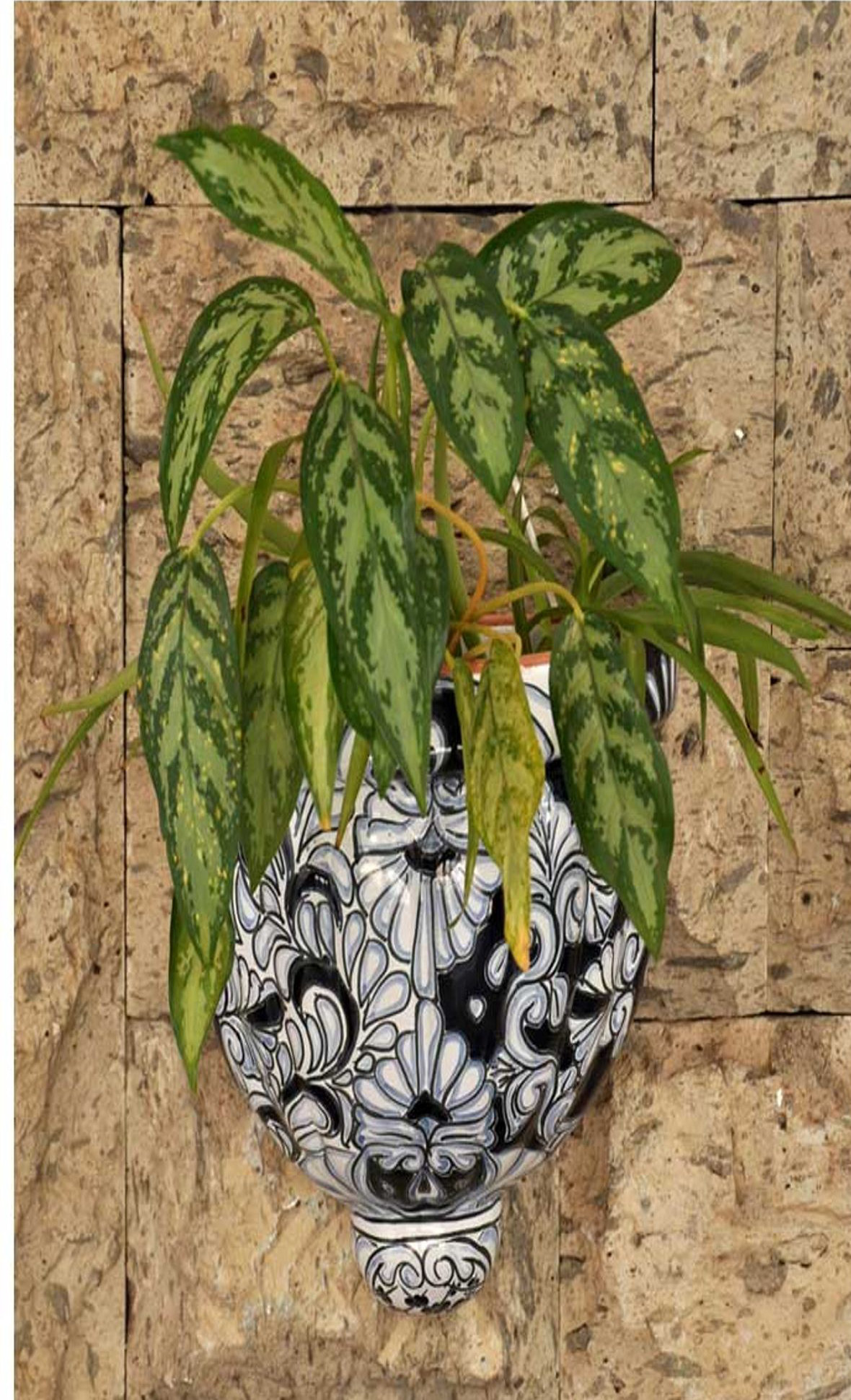 wayfair balcony planters on Alcott Hill Lovie Ceramic Wall Planter Wayfair