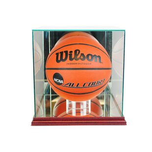 PRO Protection Deluxe UV Protected Basketball Display Case Stand fits Soccer/Volley Ball Holder Stand 
