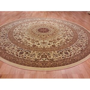 Brrown/Beige Area Rug