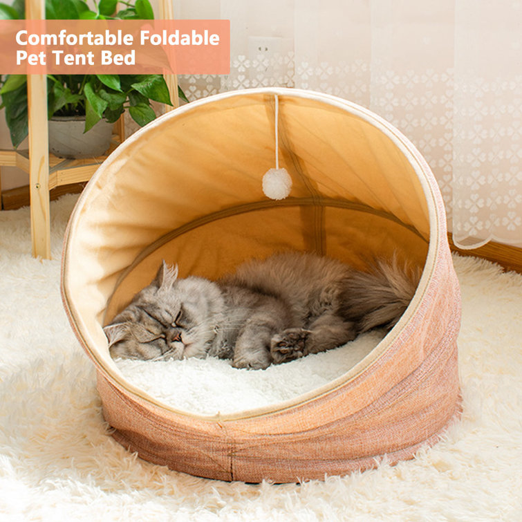 folding cat bed