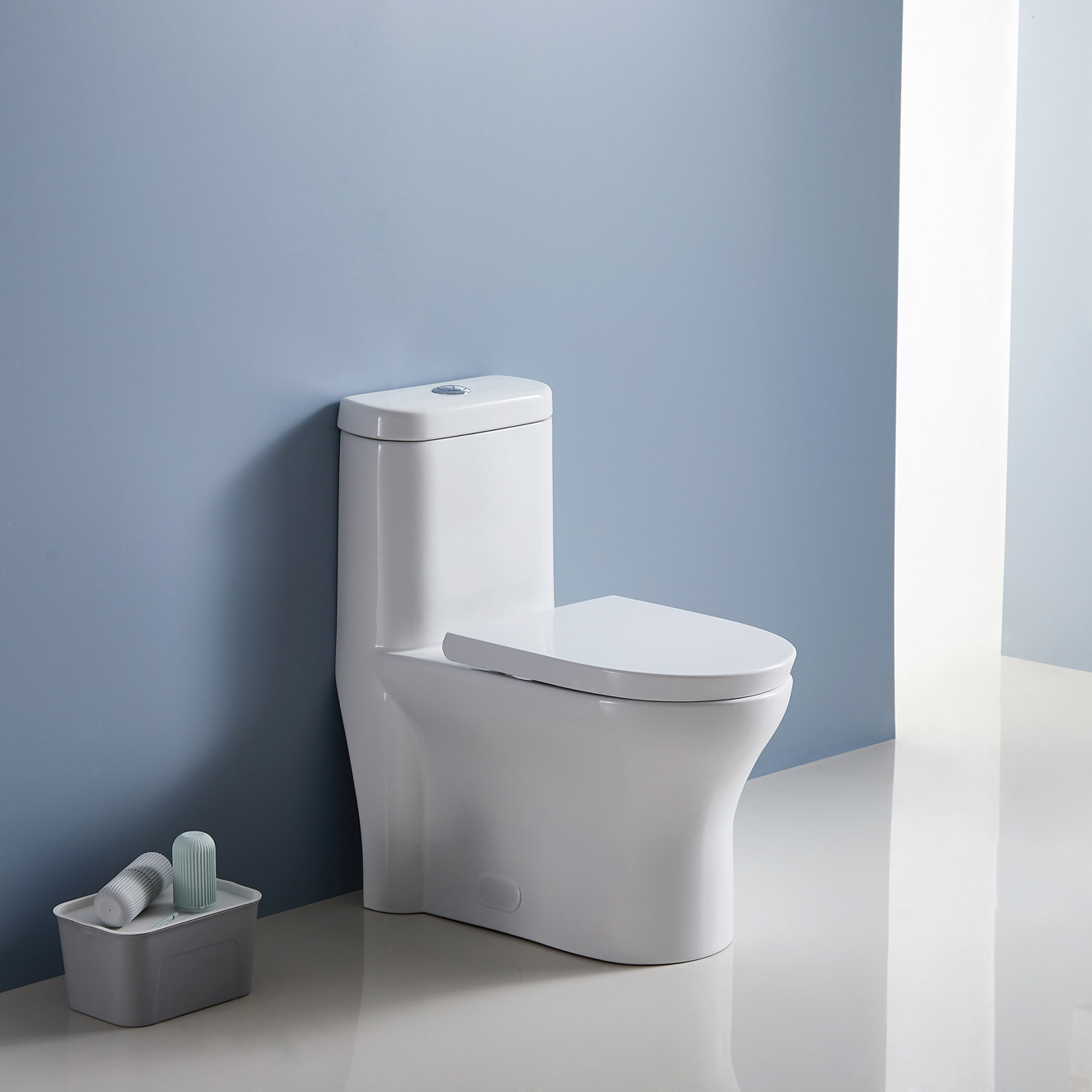 Eridanus Dual Flush Elongated One Piece Toilet Seat Included Wayfair