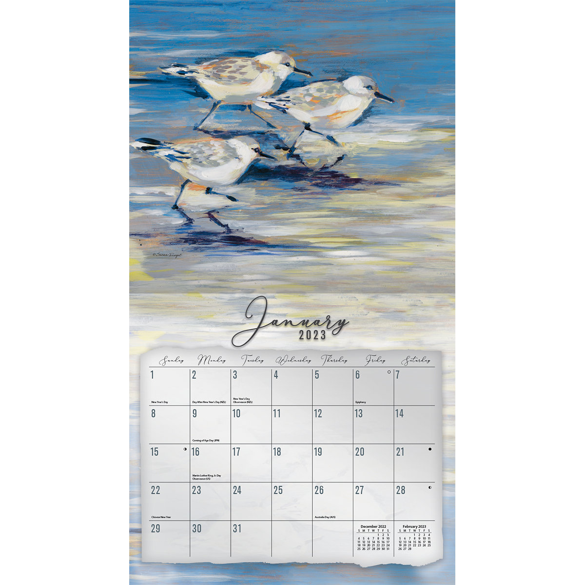 Lang Coastal Shores 2023 Calendar Wall Décor Wayfair