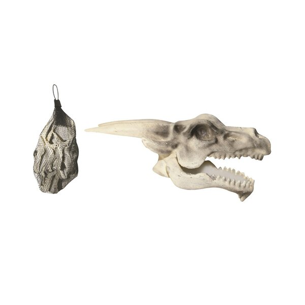 Dragon Skull Wayfair